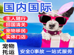 甘孜康定机场快运国际宠物托运 【国